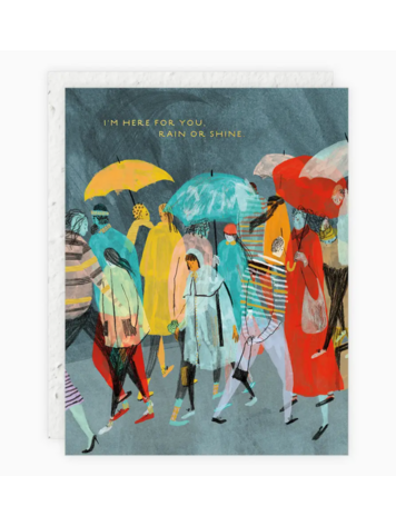 Seedlings Rain or Shine