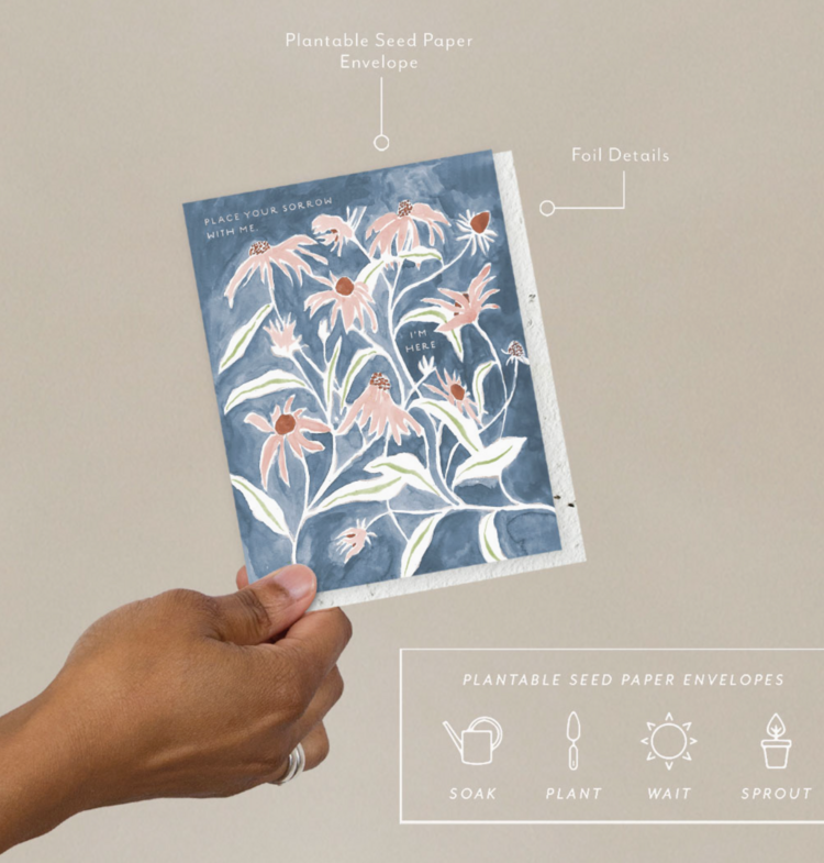 Seedlings Pink Flowers