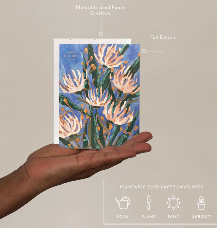 Seedlings Pretty Petals