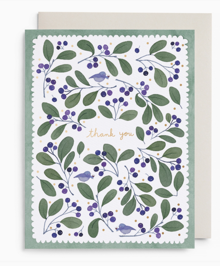 E. Frances Paper Studio Chirps and Cheers Boxed Set
