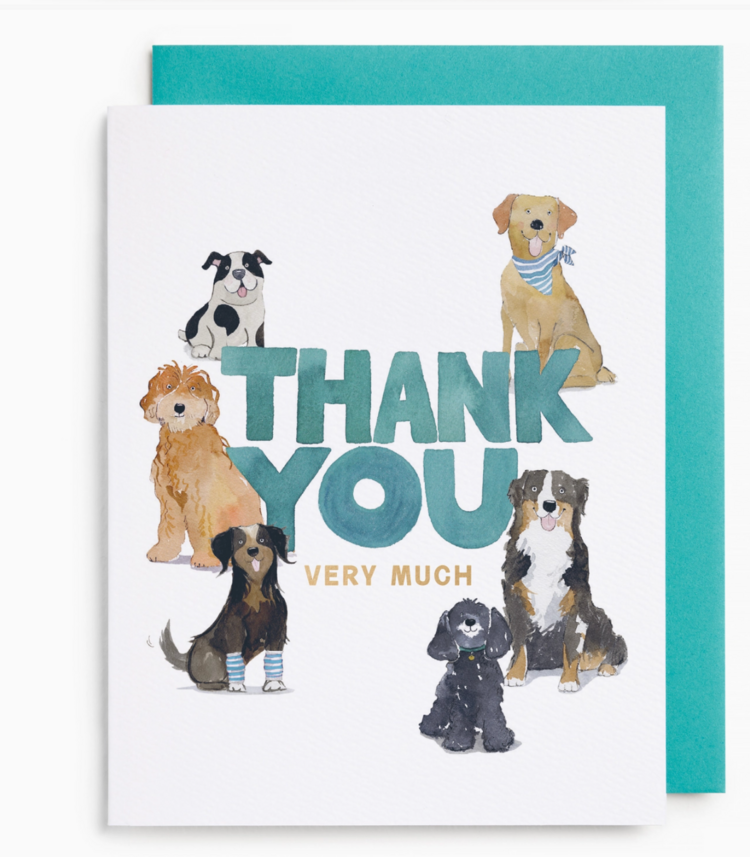 E. Frances Paper Studio Doggy Thank You Boxed Card Set