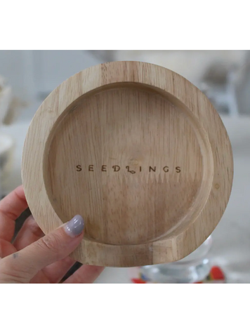 Seedlings Wooden Coaster Holder