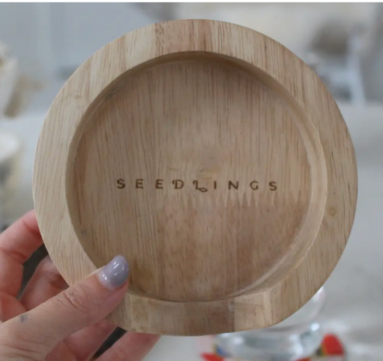 Seedlings Wooden Coaster Holder