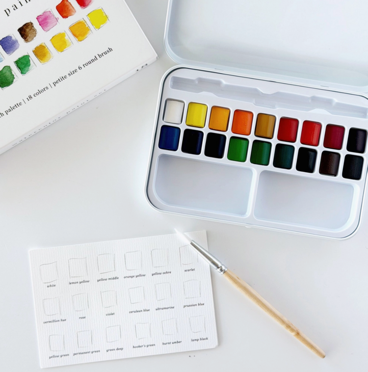 emily lex studio Watercolor Paint Set 18 Colors with Brush