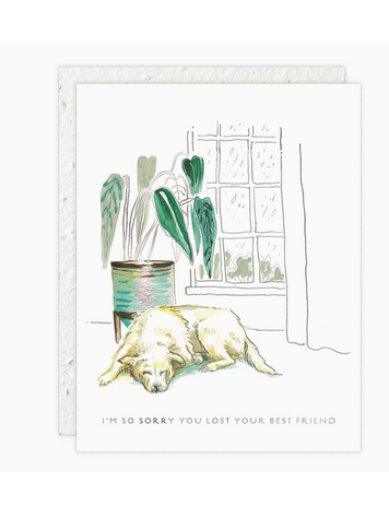 Seedlings Best Friend - Pet Sympathy