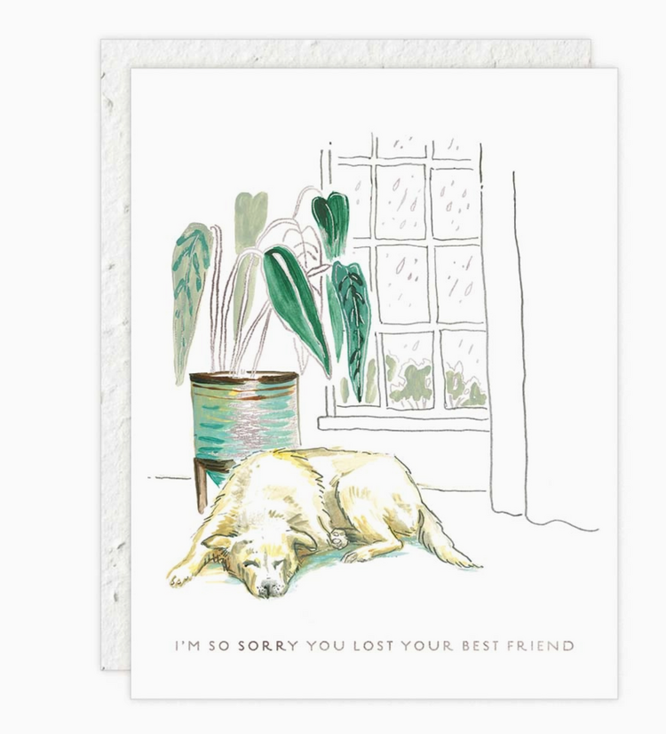 Seedlings Best Friend - Pet Sympathy