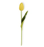 Fleurish Home Mini Tulip Single Stem