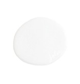Pure White Matte Finish Paint
