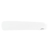 Pure White Matte Finish Paint