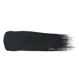 Graphite Matte Finish Paint