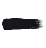 Noir Matte Finish Paint
