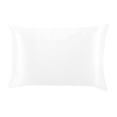 FLEURISH Soft White Satin Pillowcase (Lucent Cloud)