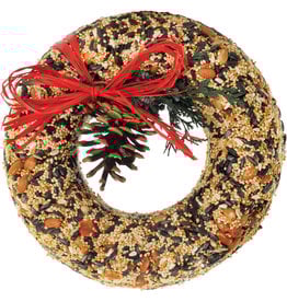 Mr. Bird Wild Feast Bird Seed Wreath