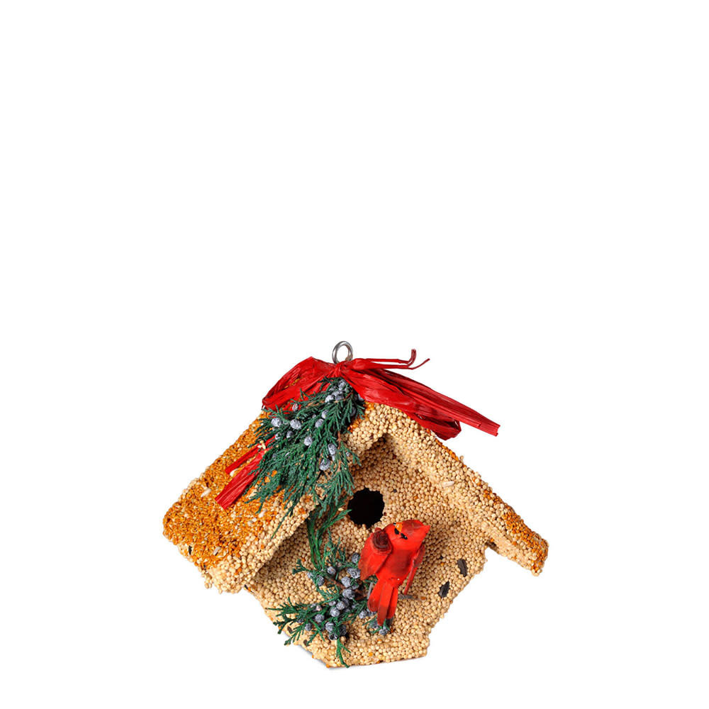 Mr. Bird Wren Casita  Bird Seed Birdhouse