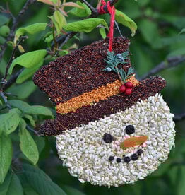 Mr. Bird Frosty Snowman Bird Seed Christmas Cookie Ornament