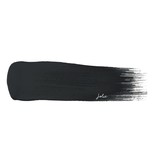 Graphite Matte Finish Paint