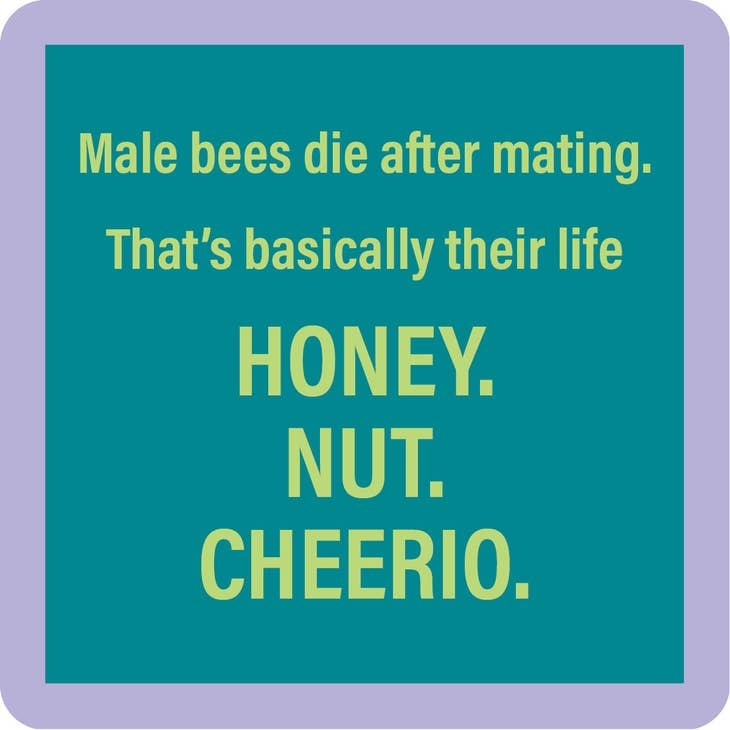 Drinks on Me Honey Nut Coaster