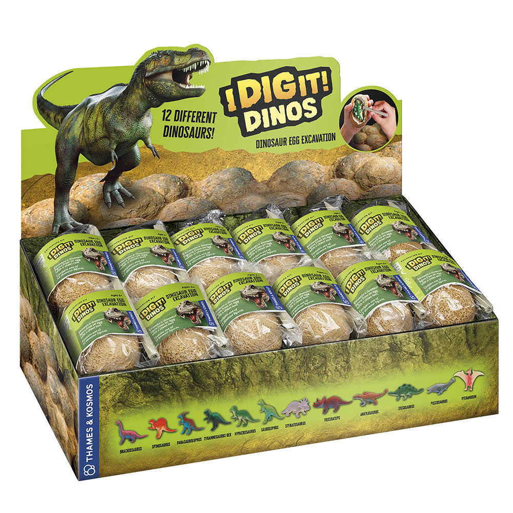 I Dig it Dinos! - Dino Egg