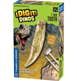 I Dig It! I Dig It! Dinos - T. Rex Tooth Excavation Kit