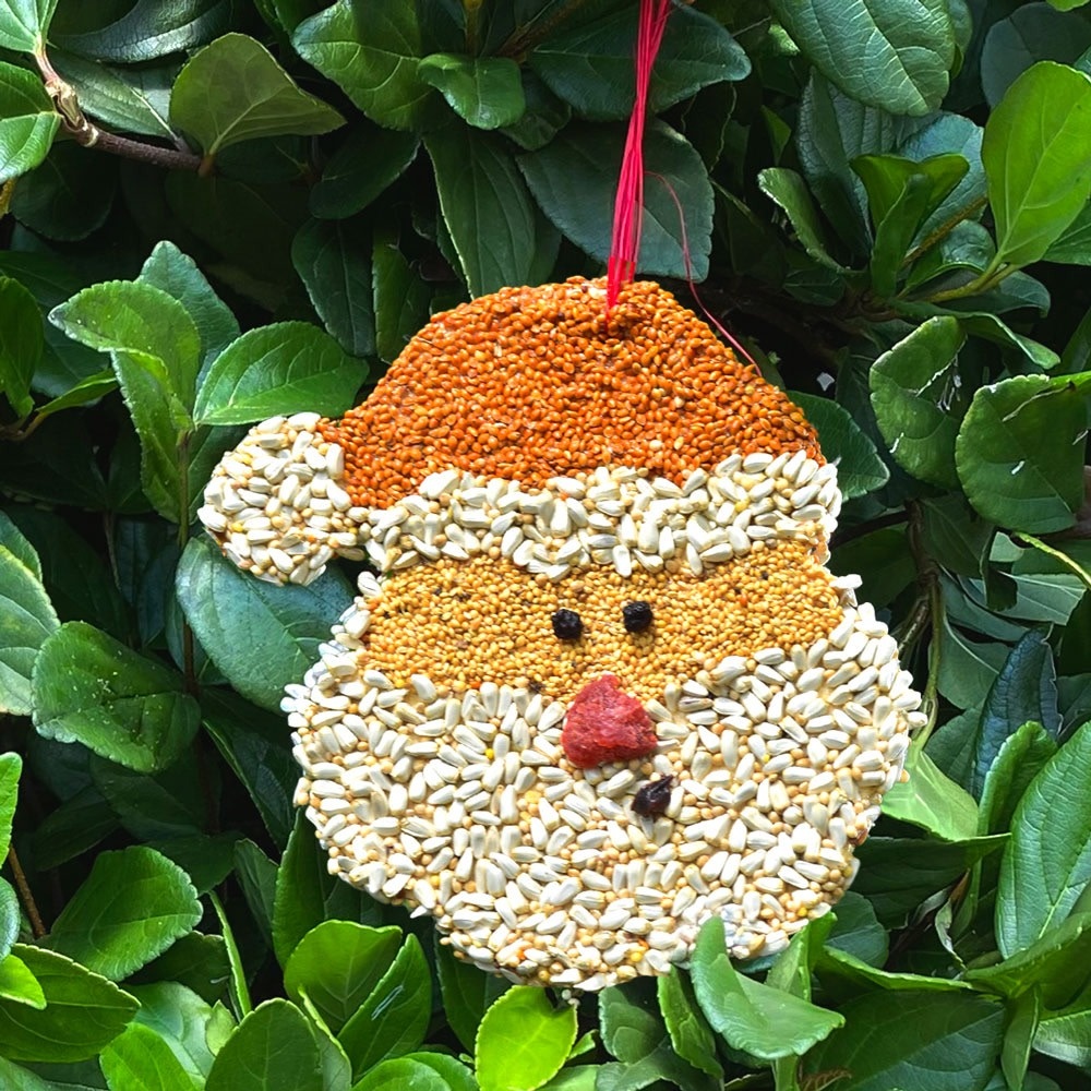 Mr. Bird Santa Bird Seed Christmas Cookie Ornament