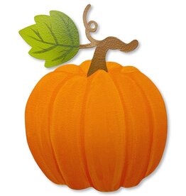 Roeda Studio Pumpkin w/ Vine Magnetic Art Pop