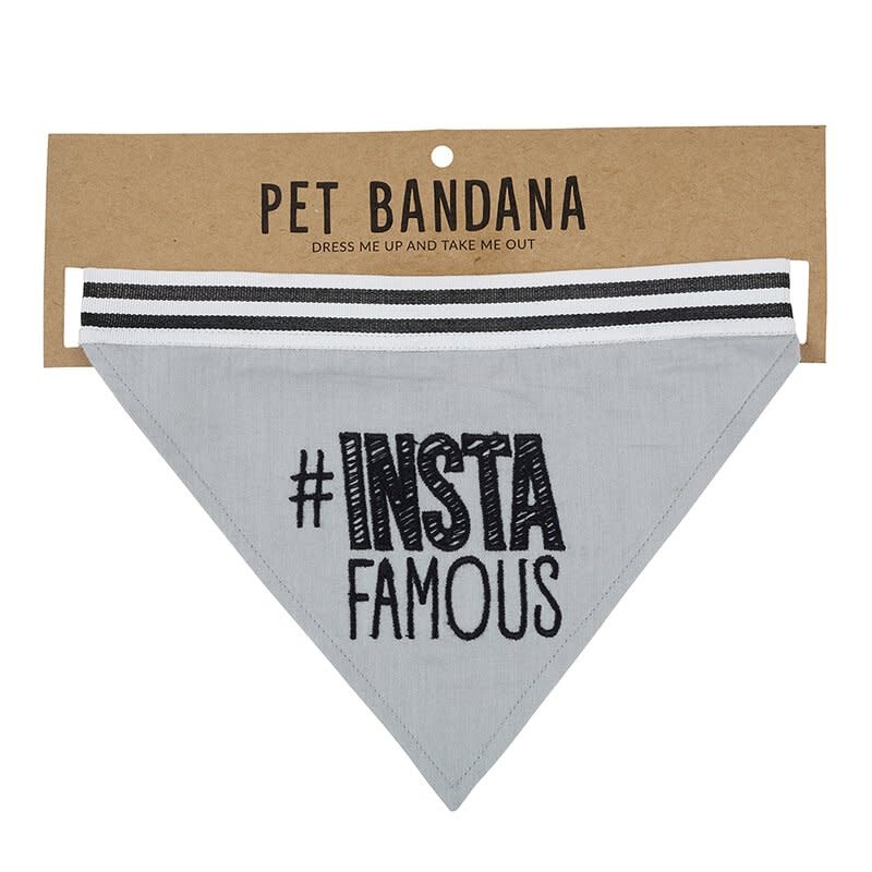 Santa Barbara Pet Bandana - #Instafamous