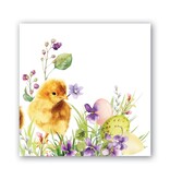 Michel Design Works Bunny Meadow Chick Cocktail Napkin