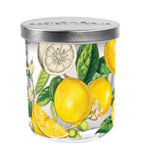 Michel Design Works Lemon Basil Candle Jar with Lid