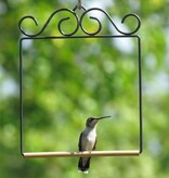 Pop's Birding Pop's Original Hummingbird Swing (Black)
