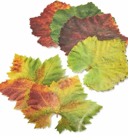 Sisson Distribution, LLC Cheese Paper Parchment Leaves: Grape Variety
