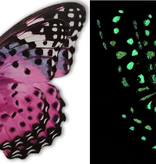 FLEURISH GLOW Butterfly Magnet (various) 3D