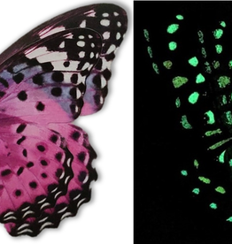 FLEURISH Butterfly Magnet (various) 3D, Glow-in-the-Dark