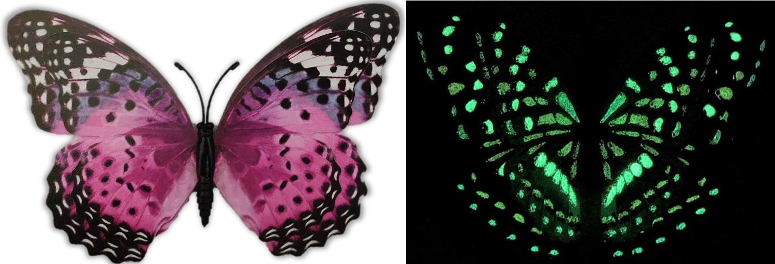 FLEURISH GLOW Butterfly Magnet (various) 3D