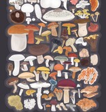 Pop Chart The Chart of Culinary Mushrooms