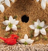 Mr. Bird Poinsettia Bird Seed House