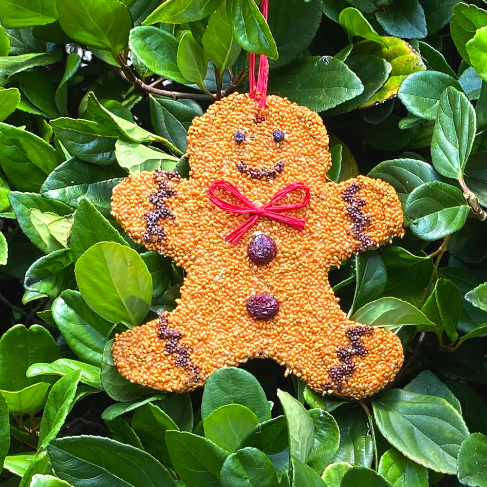 Mr. Bird Gingerbread Man Christmas Bird Seed Cookie Ornament