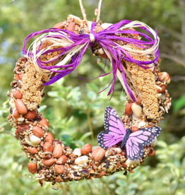 Mr. Bird Wreath Tweet 6" Bird Seed Wreath