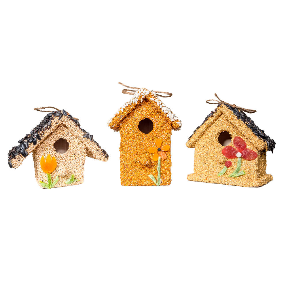 Mr. Bird Spring Fruit Seed Cottage (choice of 3 styles)