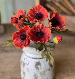 Lancaster & Vintage Intensity Luring Poppy Bundle