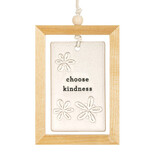 Demdaco Choose Kindness Inspired Hanging Plaque