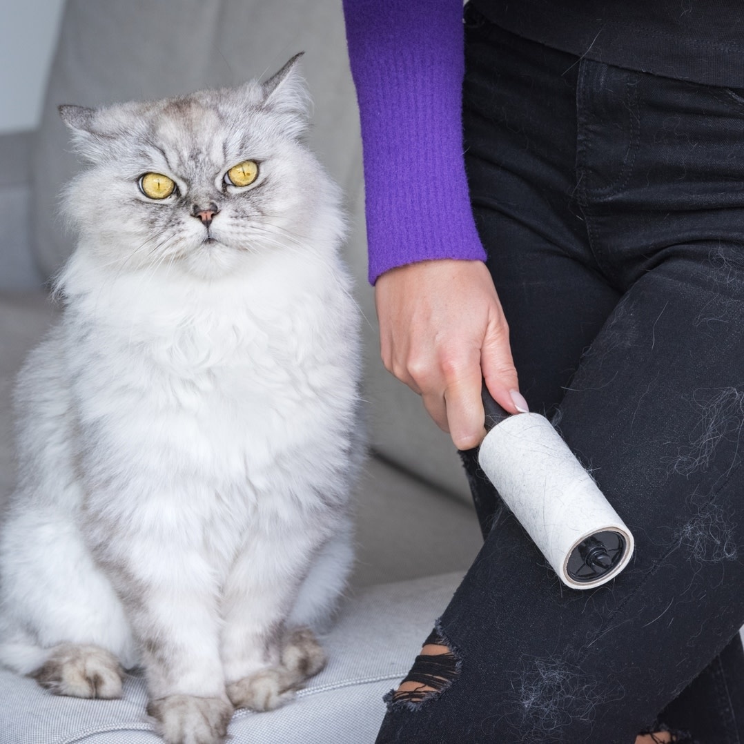 Salav-True & Tidy Salav Sticky Roller Lint Remover For Fabrics
