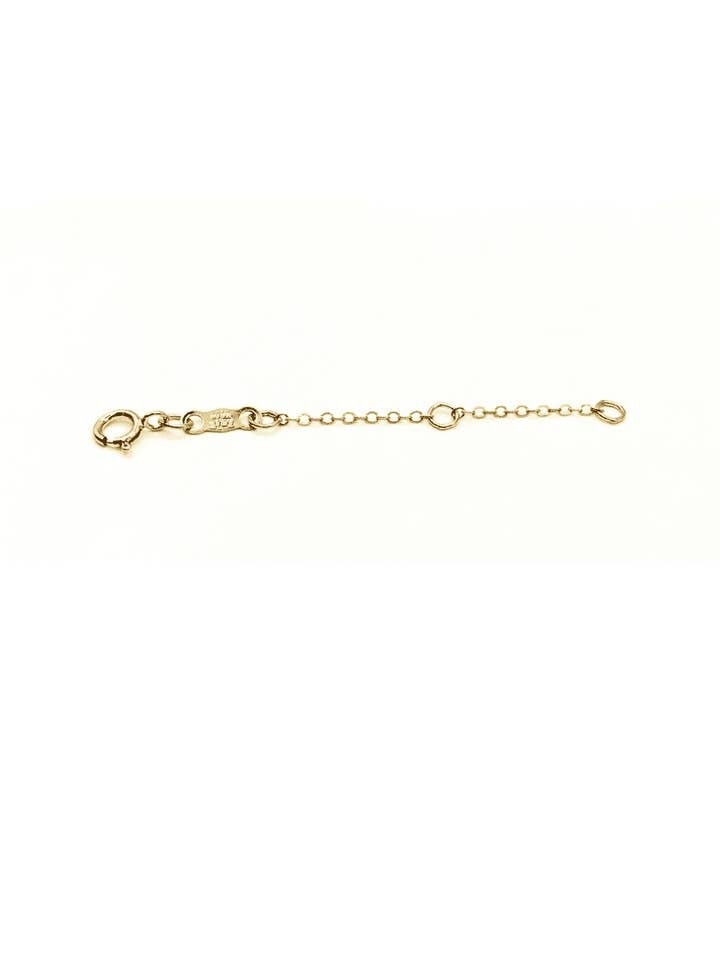 Erin Gray 14K Gold Filled Necklace Extender Chain 2"