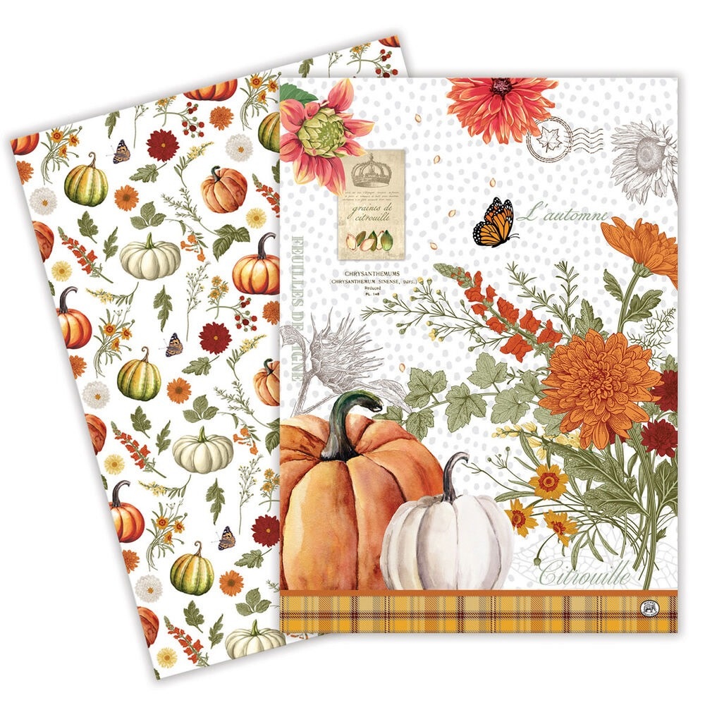 Michel Design Works Pumpkin Delight Kitchen Towel  Set of 2