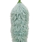 Mudpie Turq Bottle Brush Carrot