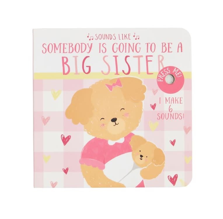Mudpie Sounds Like Big Sis Book