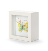 Elisabeth Hays Endlessly Hopeful Yellow Green Butterfly Shadow Box