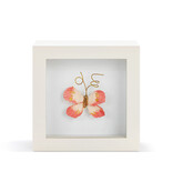 Elisabeth Hays Loved So Much Coral Butterfly Shadow Box