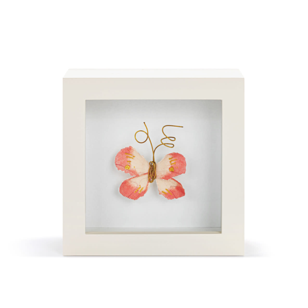 Elisabeth Hays Loved So Much Coral Butterfly Shadow Box