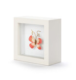 Elisabeth Hays Loved So Much Coral Butterfly Shadow Box