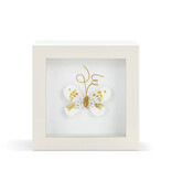 Elisabeth Hays Love From Above White Gold Butterfly Shadow Box